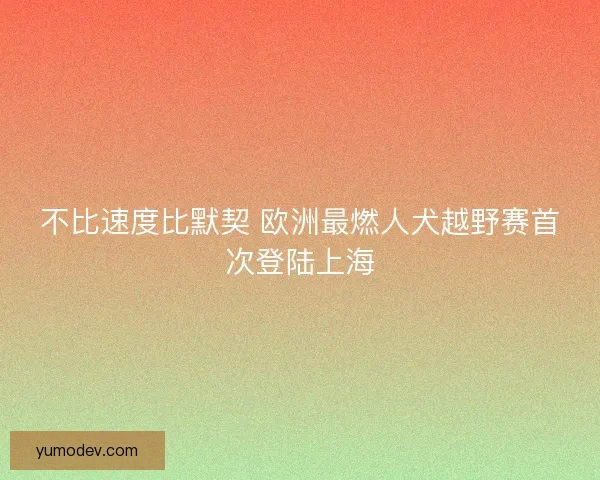 不比速度比默契 欧洲最燃人犬越野赛首次登陆上海